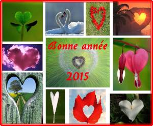 Bonne année 2015